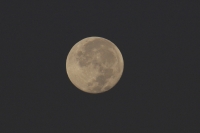 La luna de diciembre.