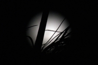 Luna llena del 9 de enero del 2012.