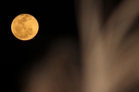 Luna llena del 9 de enero del 2012.