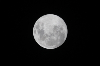 La luna de noviembre.