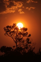 20210414. Tuxtla G. Atardecer desde el Parque Morelos-Bicentenario