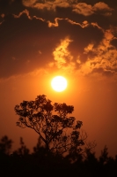 20210414. Tuxtla G. Atardecer desde el Parque Morelos-Bicentenario