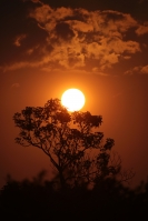 20210414. Tuxtla G. Atardecer desde el Parque Morelos-Bicentenario