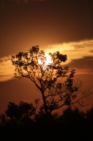 20210415. Tuxtla G. Atardecer desde el Parque Morelos-Bicentenario