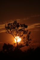 20210415. Tuxtla G. Atardecer desde el Parque Morelos-Bicentenario