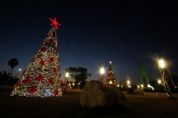 Sábado 17 de diciembre del 2016. Tuxtla Gutiérrez. El espíritu navideño se contrasta en la capital del estado de Chiapas