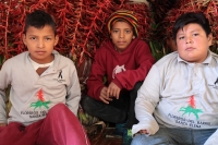 Domingo 17 de diciembre del 2017. Zinacantan. Los jóvenes de la comunidad de Chiapa de Corzo viajan varios kilómetros a pie durante esta semana  para recolectar los tubérculos de las flores de Niluyarilo. La Topada de la Flor es conocida como el inicio