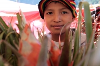 Domingo 17 de diciembre del 2017. Zinacantan. Los jóvenes de la comunidad de Chiapa de Corzo viajan varios kilómetros a pie durante esta semana  para recolectar los tubérculos de las flores de Niluyarilo. La Topada de la Flor es conocida como el inicio