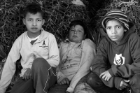 Domingo 17 de diciembre del 2017. Zinacantan. Los jóvenes de la comunidad de Chiapa de Corzo viajan varios kilómetros a pie durante esta semana  para recolectar los tubérculos de las flores de Niluyarilo. La Topada de la Flor es conocida como el inicio