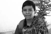 Domingo 17 de diciembre del 2017. Zinacantan. Los jóvenes de la comunidad de Chiapa de Corzo viajan varios kilómetros a pie durante esta semana  para recolectar los tubérculos de las flores de Niluyarilo. La Topada de la Flor es conocida como el inicio
