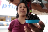Miércoles 5 de junio del 2019. Tuxtla Gutiérrez. Vendedores de Nucú ofrecen la medida de la típica hormiga arriera en 40 o 50 pesos en los mercados de la ciudad.