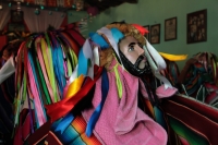 Jueves 18 de enero del 2018. Suchiapa. La danza del Parachico y el Torito. Durante la frenética danza surimba convive el Parachico y el Torito en la representación de una faena de brincos y gritos durante las celebraciones de la Fiesta de San Sebastián
