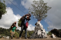 Martes 19 de diciembre del 2017. Zinacatan, Chiapas. Los Floreros continúan con el recorrido de recolección de la Flor de Niluyarilo en las comunidades de la región de Los Altos de Chiapas continuando con el regreso hacia Chiapa de Corzo y Villa de íc