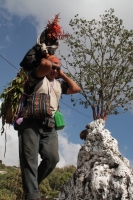 Martes 19 de diciembre del 2017. Zinacatan, Chiapas. Los Floreros continúan con el recorrido de recolección de la Flor de Niluyarilo en las comunidades de la región de Los Altos de Chiapas continuando con el regreso hacia Chiapa de Corzo y Villa de íc
