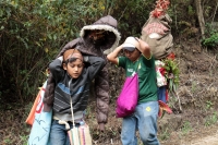 Martes 19 de diciembre del 2017. Zinacatan, Chiapas. Los Floreros continúan con el recorrido de recolección de la Flor de Niluyarilo en las comunidades de la región de Los Altos de Chiapas continuando con el regreso hacia Chiapa de Corzo y Villa de íc