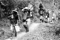 Martes 19 de diciembre del 2017. Zinacatan, Chiapas. Los Floreros continúan con el recorrido de recolección de la Flor de Niluyarilo en las comunidades de la región de Los Altos de Chiapas continuando con el regreso hacia Chiapa de Corzo y Villa de íc Martes 19 de diciembre del 2017. Zinacatan, Chiapas. Los Floreros continúan con el recorrido de recolección de la Flor de Niluyarilo en las comunidades de la región de Los Altos de Chiapas continuando con el regreso hacia Chiapa de Corzo y Villa de íc