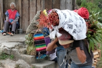 Martes 19 de diciembre del 2017. Zinacatan, Chiapas. Los Floreros continúan con el recorrido de recolección de la Flor de Niluyarilo en las comunidades de la región de Los Altos de Chiapas continuando con el regreso hacia Chiapa de Corzo y Villa de íc