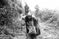 Martes 19 de diciembre del 2017. Zinacatan, Chiapas. Los Floreros continúan con el recorrido de recolección de la Flor de Niluyarilo en las comunidades de la región de Los Altos de Chiapas continuando con el regreso hacia Chiapa de Corzo y Villa de íc