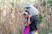 Martes 19 de diciembre del 2017. Zinacatan, Chiapas. Los Floreros continúan con el recorrido de recolección de la Flor de Niluyarilo en las comunidades de la región de Los Altos de Chiapas continuando con el regreso hacia Chiapa de Corzo y Villa de íc
