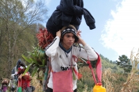 Martes 19 de diciembre del 2017. Zinacatan, Chiapas. Los Floreros continúan con el recorrido de recolección de la Flor de Niluyarilo en las comunidades de la región de Los Altos de Chiapas continuando con el regreso hacia Chiapa de Corzo y Villa de íc