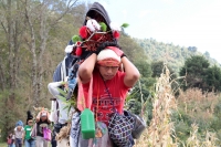 Martes 19 de diciembre del 2017. Zinacatan, Chiapas. Los Floreros continúan con el recorrido de recolección de la Flor de Niluyarilo en las comunidades de la región de Los Altos de Chiapas continuando con el regreso hacia Chiapa de Corzo y Villa de íc
