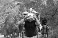 Martes 19 de diciembre del 2017. Zinacatan, Chiapas. Los Floreros continúan con el recorrido de recolección de la Flor de Niluyarilo en las comunidades de la región de Los Altos de Chiapas continuando con el regreso hacia Chiapa de Corzo y Villa de íc
