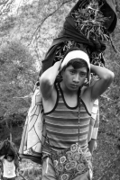Martes 19 de diciembre del 2017. Zinacatan, Chiapas. Los Floreros continúan con el recorrido de recolección de la Flor de Niluyarilo en las comunidades de la región de Los Altos de Chiapas continuando con el regreso hacia Chiapa de Corzo y Villa de íc