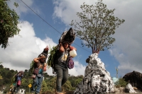Martes 19 de diciembre del 2017. Zinacatan, Chiapas. Los Floreros continúan con el recorrido de recolección de la Flor de Niluyarilo en las comunidades de la región de Los Altos de Chiapas continuando con el regreso hacia Chiapa de Corzo y Villa de íc