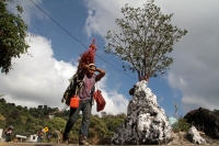 Martes 19 de diciembre del 2017. Zinacatan, Chiapas. Los Floreros continúan con el recorrido de recolección de la Flor de Niluyarilo en las comunidades de la región de Los Altos de Chiapas continuando con el regreso hacia Chiapa de Corzo y Villa de íc Martes 19 de diciembre del 2017. Zinacatan, Chiapas. Los Floreros continúan con el recorrido de recolección de la Flor de Niluyarilo en las comunidades de la región de Los Altos de Chiapas continuando con el regreso hacia Chiapa de Corzo y Villa de íc