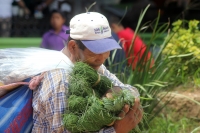 Miércoles 26 de julio del 2017. Tuxtla Gutiérrez. Los vendedores ambulantes ofrecen sus productos a través del calor de las calles del primer cuadro de Tuxtla