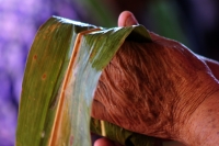 Viernes 6 de enero del 2016. Tuxtla Gutiérrez. La elaboración de los tamales de hoja de maíz, se elabora por las mujeres de la comunidad zoque mientras se lleva a cabo la Danza de los Pastores según la costumbre de la tradición zoque durante las celebraci