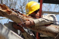 Viernes 24 de febrero del 2017. Tuxtla Gutiérrez. Personal de Protección Civil municipal realizan la instalación eléctrica para realización del Carnaval Tuxtleco