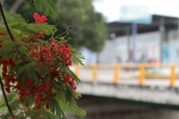 Viernes 10 de julio del 2020. Tuxtla Gutiérrez. Por el rumbo del Puente del Juy-Juy y la pila del Magueyito en el poniente de la ciudad