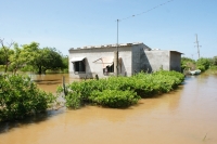 Alfredo Ovilla/Miércoles 20 de julio. Habitantes de la comunidad costera de Punta Flor siguen viviendo en pequeñas chozas que están encharcadas desde hace varios días por las intensas lluvias en el municipio de Arriaga. Las 50 familias piden la ayuda de l