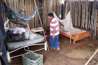 Lunes 1 de agosto. Al menos 250 viviendas fueron afectadas por las torrenciales lluvias que se registraron la noche de ayer en el municipio de Tapachula, Chiapas. En el albergue se encuentra 26 familias que perdieron todo al ser sorprendidos por las aguas