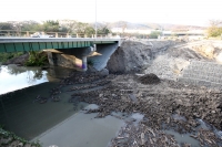 Domingo 26 de febrero del 2012. Agoniza el pulmón de la ciudad.