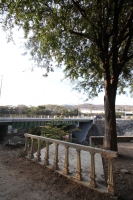 Domingo 26 de febrero del 2012. Agoniza el pulmón de la ciudad.