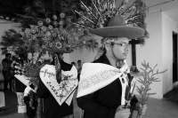 Miércoles 16 de agosto del 2017. Tuxtla Gutiérrez. Los grupos de danzantes tradicionales de la comunidad Zoque celebran los festejos del Santo Patrono del Barrio de San Roque bailando con la música del carrizo y tambor recorriendo las calles de la ciudad 
