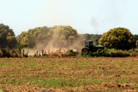 Jueves 23 de febrero del 2012. Sequia en el campo.