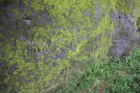 Las Serpientes de Peña el Naranjo (Un año después).