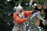 Sábado 22 de agosto del 2020. Tuxtla Gutiérrez. Trabajadores de Protección Civil trabajan en el árbol que colapsó en el atrio de la iglesia de San Roque.