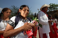Martes 27 de marzo del 2012. A 30 años del Chichonal.