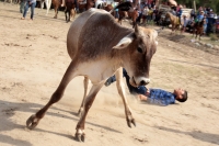 Sábado 31 de marzo del 2018. Suchiapa. El jaripeo rio da fin a las actividades de Semana Santa dando espacio al esparcimiento en las orillas de rio de esta comunidad chiapaneca.