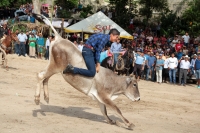 Sábado 31 de marzo del 2018. Suchiapa. El jaripeo rio da fin a las actividades de Semana Santa dando espacio al esparcimiento en las orillas de rio de esta comunidad chiapaneca.