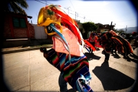 Lunes 18 de enero. Suchiapa. Los Parachicos de la comunidad de Suchiapa bailan y cantan en las calles visitando las casas de las personas que conservan las tradiciones de esta localidad y con la participación de la Cofradía de los Parachicos, quienes orga