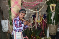 20210430. Suchiapa. La Hoja de la Espadaña es traída en hombros durante días para ser utilizada de manera ritual en las festividades de esta comunidad de la depresión central de Chiapas