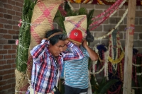 20210430. Suchiapa. La Hoja de la Espadaña es traída en hombros durante días para ser utilizada de manera ritual en las festividades de esta comunidad de la depresión central de Chiapas