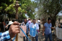 20210430. Suchiapa. La Hoja de la Espadaña es traída en hombros durante días para ser utilizada de manera ritual en las festividades de esta comunidad de la depresión central de Chiapas