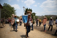 20210430. Suchiapa. La Hoja de la Espadaña es traída en hombros durante días para ser utilizada de manera ritual en las festividades de esta comunidad de la depresión central de Chiapas