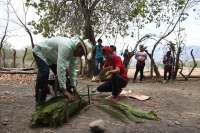 20210430. Suchiapa. La Hoja de la Espadaña es traída en hombros durante días para ser utilizada de manera ritual en las festividades de esta comunidad de la depresión central de Chiapas